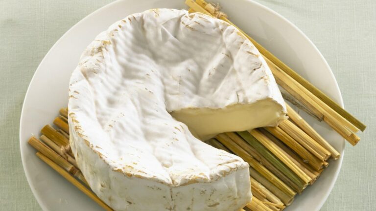Qui a inventé le camembert ? Qui a inventé le camembert ?