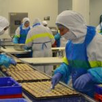 Qui est le fournisseur de Picard ?