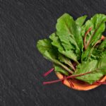 Qui mange les feuilles de betteraves ?