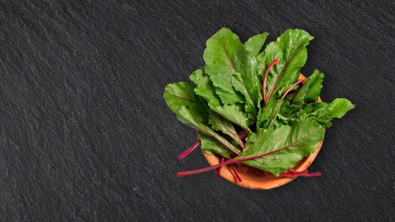 Qui mange les feuilles de betteraves ?