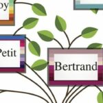 Qui porte le nom de famille ?