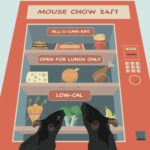 Restriction calorique