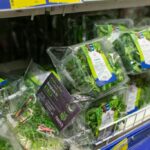 Les salades en sachet : bonne ou mauvaise idée pour la santé ?