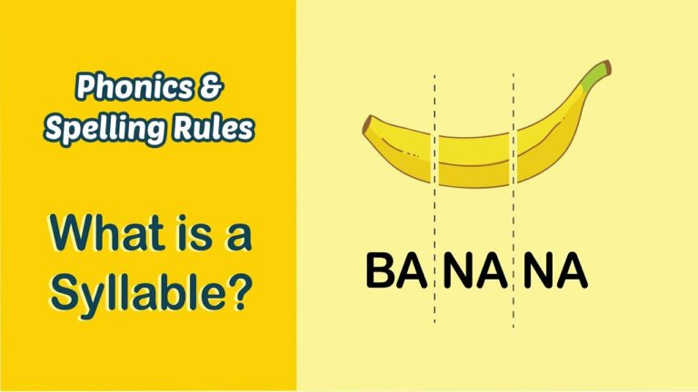 What is Petoncle in English? What is Petoncle in English?