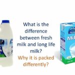 Which is better pasteurized or UHT milk?