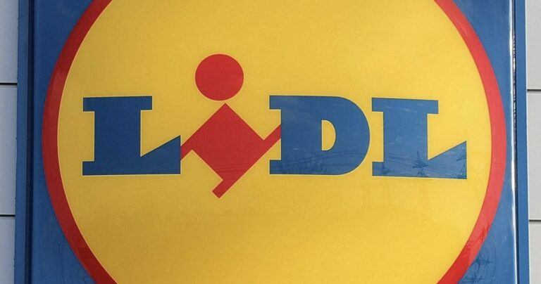 Des centaines d’euros de produits fondus chez Lidl et vous allez être choqué ! Lidl