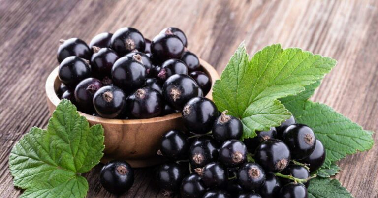 La nutrition. Quels aliments sont riches en vitamine C ?