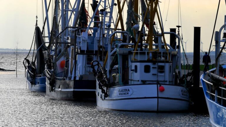 La pêche va-t-elle avec la banane ?