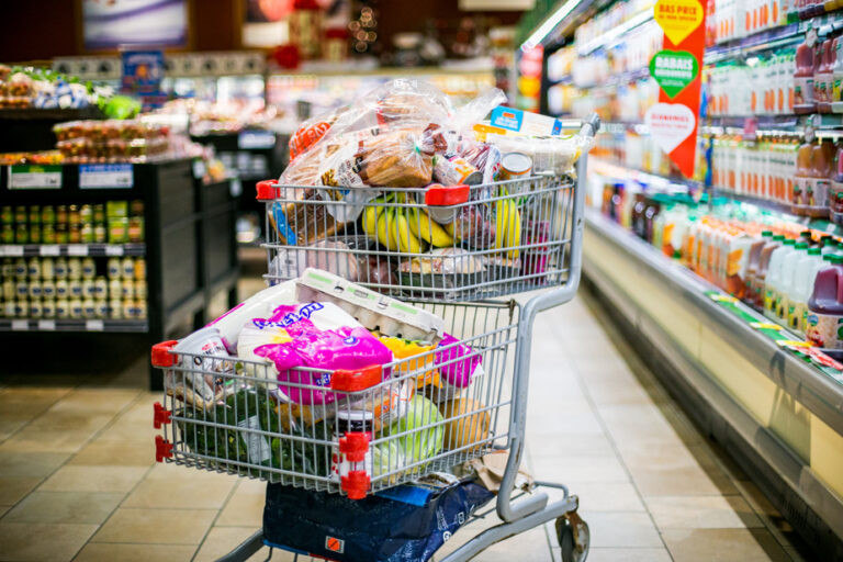 Plus de la moitié des Québécois gaspillent de la nourriture