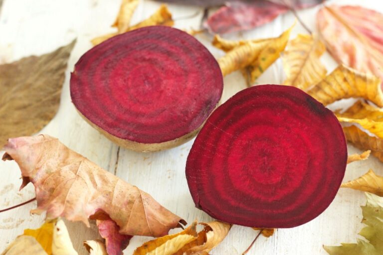 Pourquoi la betterave est-elle utilisée dans les gâteaux ?