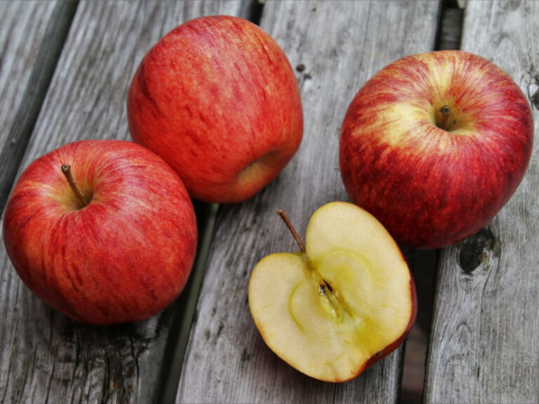 Quelle est la pomme la plus sucrée ?
