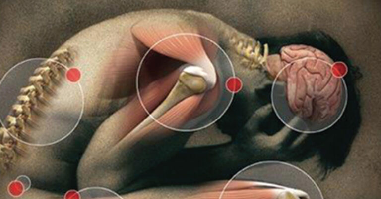 Qu’est-ce qui peut déclencher une inflammation dans le corps?