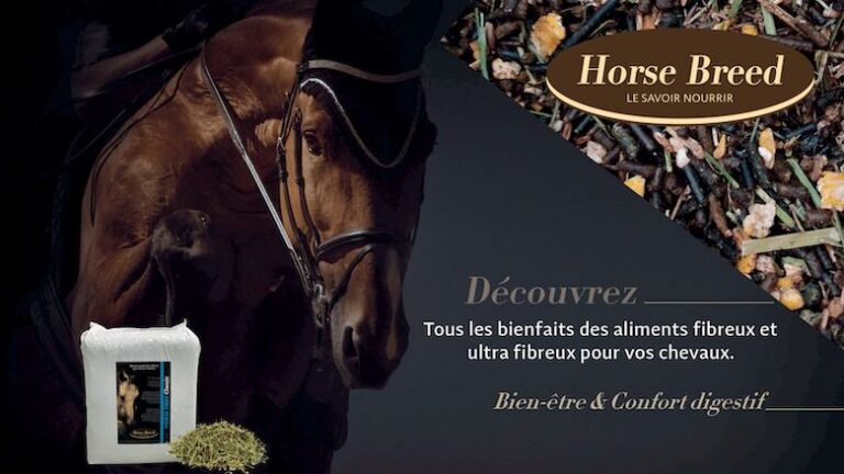 Races de chevaux, vingt ans de nutrition équine !