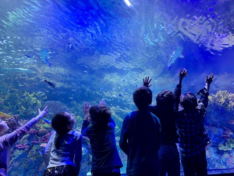 Applebees est-il moins cher que TGI Fridays ?