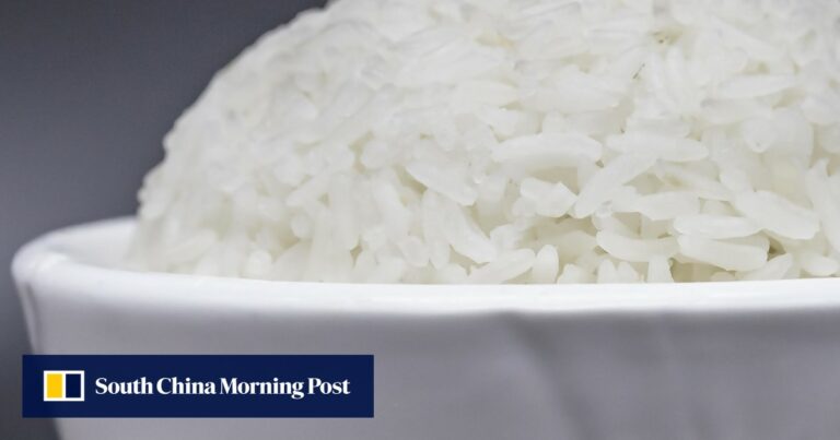 Can you cook rice in the Always Pan?