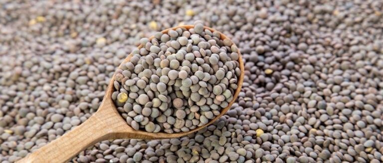 Combien de temps faut-il pour cuire des lentilles trempées ?