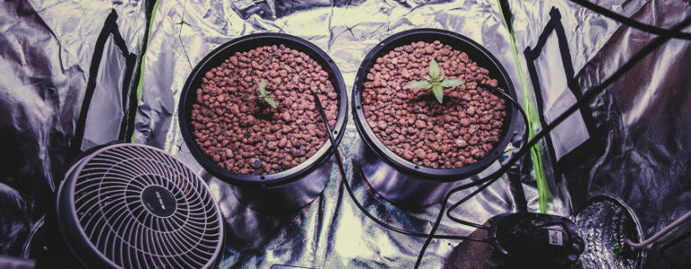 Combien de temps faut-il pour tirer la tire à la main ?