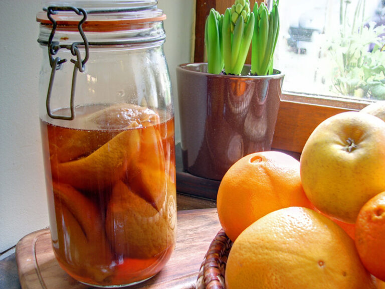 Comment faire du vin de citron ?