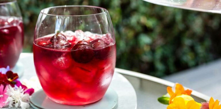 Comment s’appelle la vodka et le jus de canneberge ?