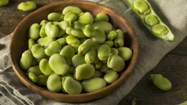 La mijoteuse est-elle bonne pour les haricots?