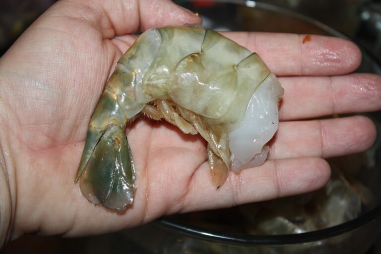 Les crevettes géantes sont-elles dures?