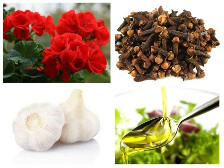 L’huile infusée à l’ail faite maison est-elle sans danger?