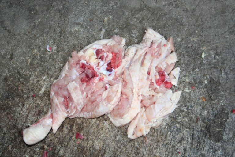 Peut-on mettre de la viande crue dans l’Airfryer ?