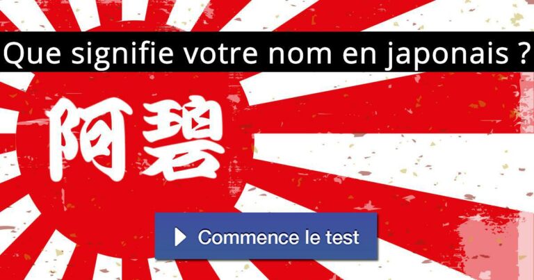 Que signifie Kikurage en japonais ?