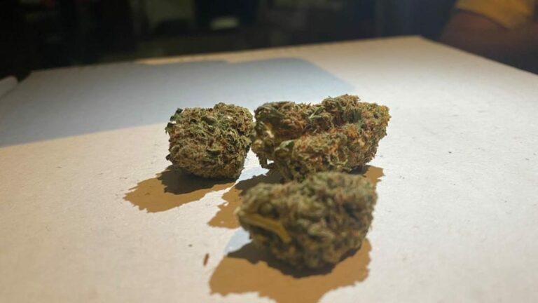 Quelle est la différence entre KitchenAid Classic et Ultra Power ?