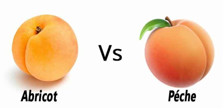 Quelle est la différence entre la compote de pommes et les pommes ?