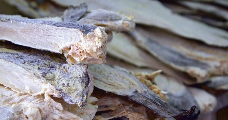 Quelle est la différence entre la morue et la goberge d’Alaska ?