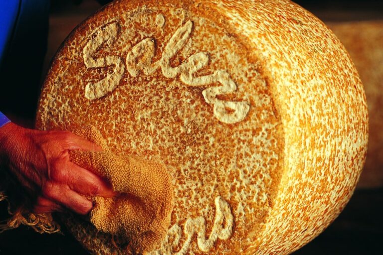 Qu’est-ce que le raifort et comment est-il fabriqué ?