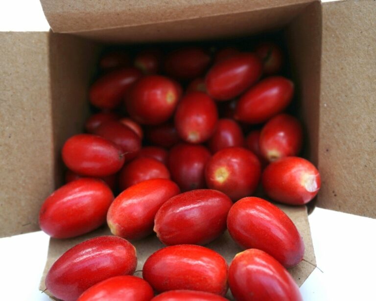 What goes good with miracle berries?