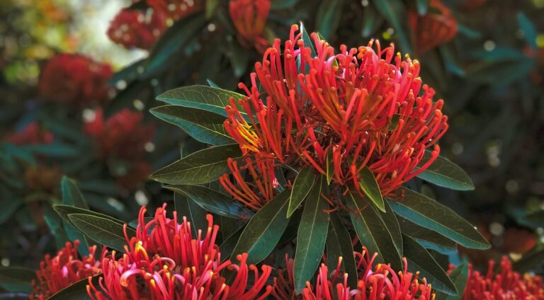 Alors que les États-Unis se réchauffent, une solution nutritionnelle peut aider les vaches stressées par la chaleur