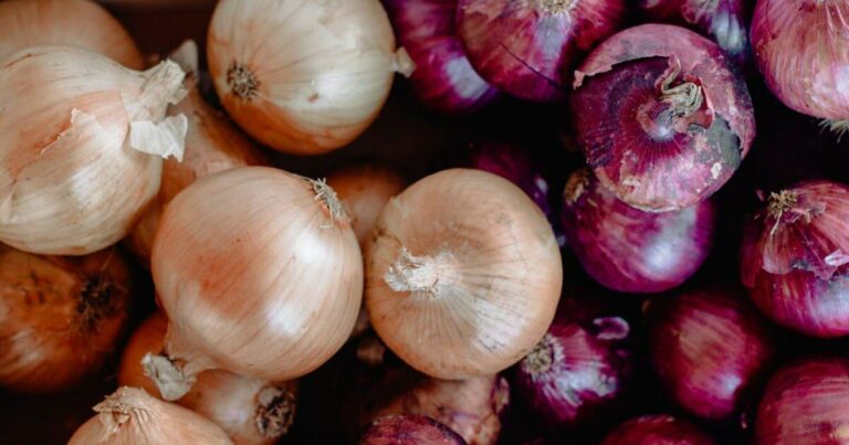 La nutrition.Pourquoi les oignons sont le compagnon idéal pour votre santé