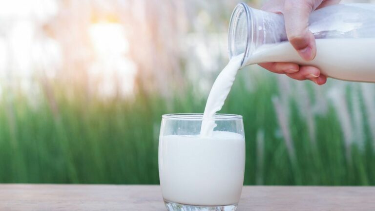 Quels sont les avantages de choisir quel lait végétal