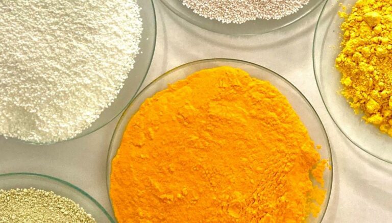 nutrition animale. Alinova (22 ans) a levé 1,4 million d’euros auprès de Go Capital