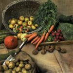 Ateliers nutrition et vitalité pour seniors