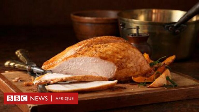 Nutrition : 5 avantages pour la santé de la Turquie