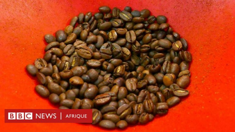 Nutrition : 5 bienfaits du café pour la santé