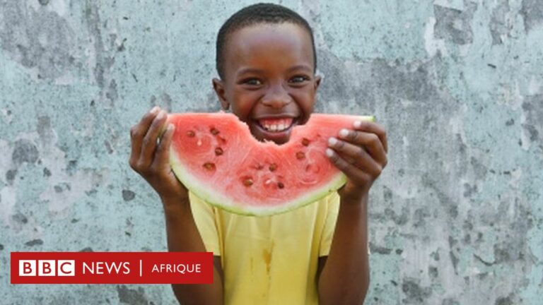 Nutrition : Bienfaits pour la santé de la pastèque