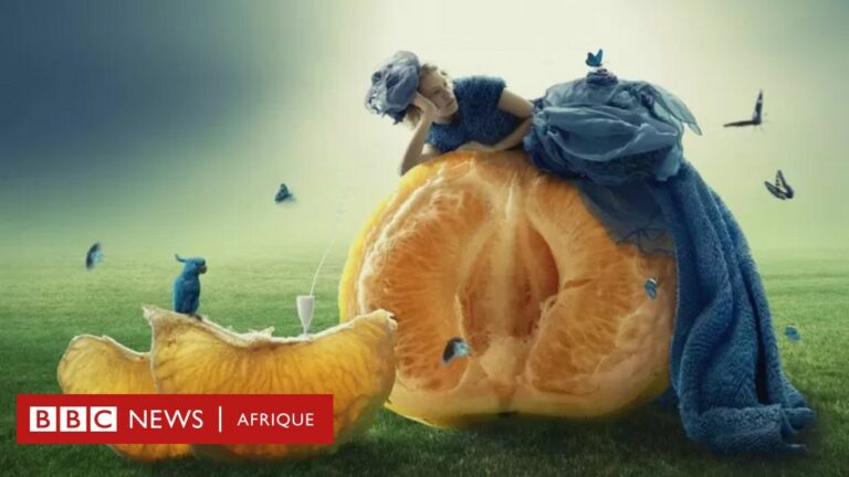 Nutrition : Quels aliments et boissons faut-il et faut-il éviter pour une bonne mémoire ?