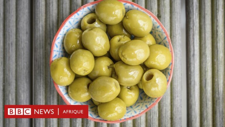 Nutrition : Quels sont les 5 principaux bienfaits des olives pour la santé ?