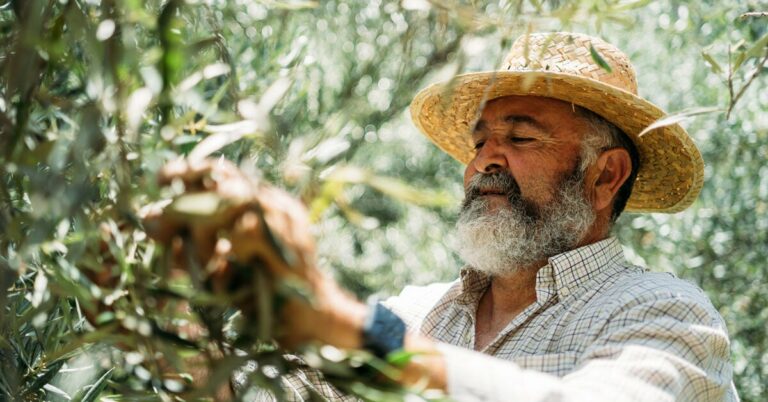 Le lecanemab, un médicament contre la maladie d’Alzheimer, obtient l’approbation de la FDA malgré les inquiétudes