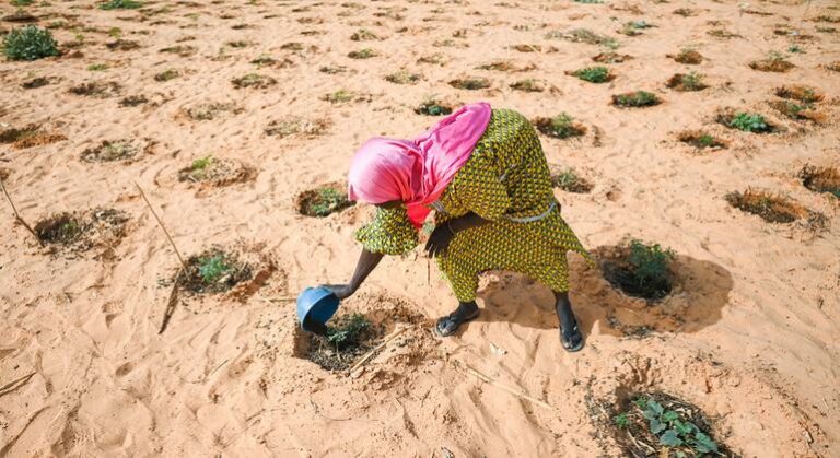 Niger : La situation alimentaire et nutritionnelle reste préoccupante, selon OCHA